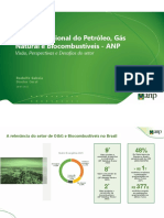 Agência Nacional Do Petróleo, Gás Natural e Biocombustíveis - ANP