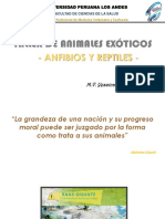 TALLER DE ANIMALES EXÓTICOS III Anfibios y Reptiles