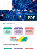 Tejido Nervioso: Estructura y Función de las Neuronas