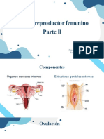 Clase 2 SRF