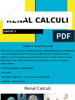 RENAL CALCULI ADN Group 2