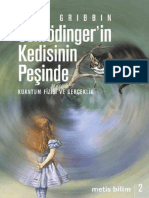 John Gribbin - Schrodinger'in Kedisinin Peşinde