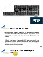 Perfeccionamiento Diseño Universal de Aprendizaje