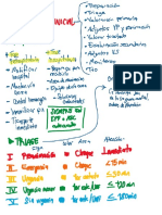 Evaluación Primaria ATLS