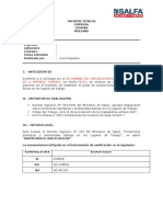 Formato Informe DS. 594