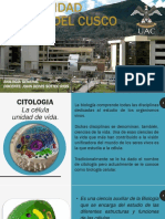 Citologia N