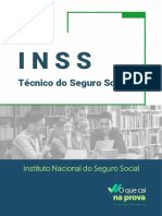 Inss Tecnico