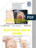 Presentación Mama .