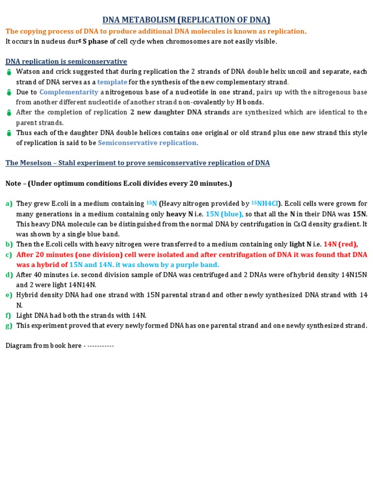 Semiconservative Replication Experiment