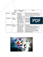 Bioelementos Abundancia en Los Seres Vivos Elementos Que Los Componen Función