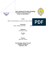 Matriz Sobre Determinantes Sociales de La Salud y Determinación Social