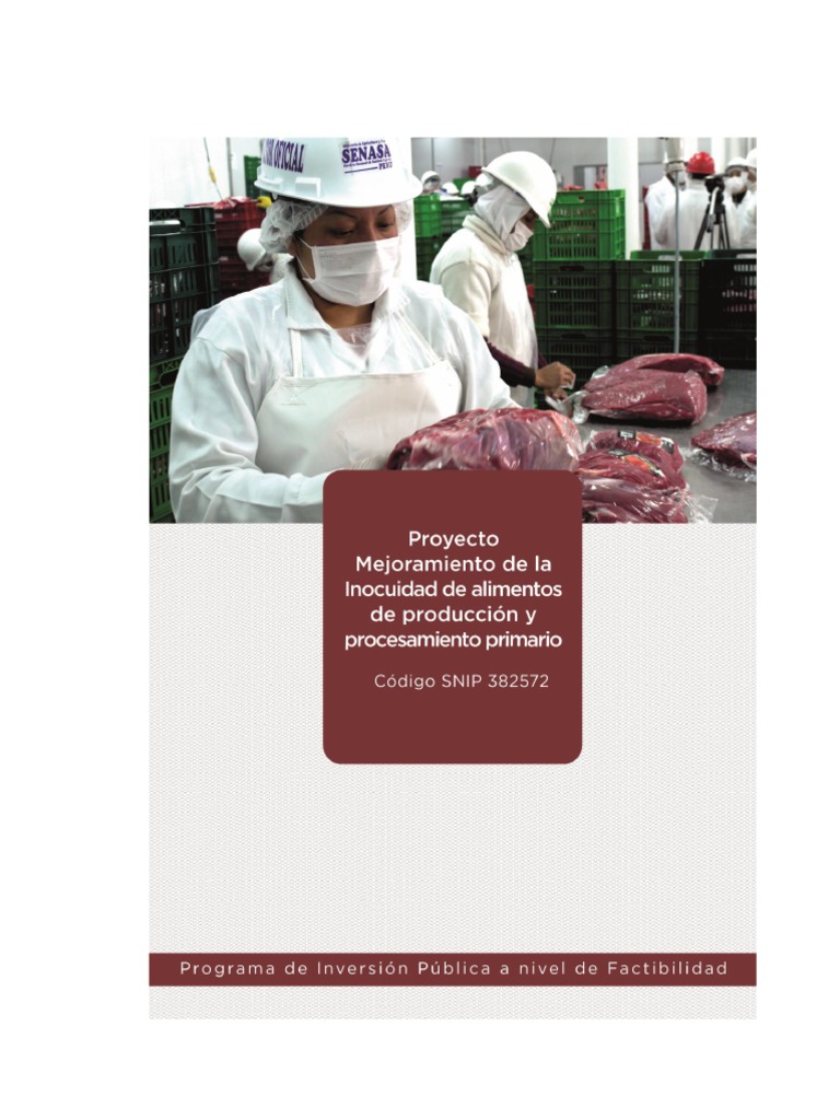 Factibilidad Inocuidad Final Rev | PDF | Alimentos | Perú