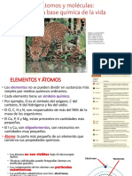 UNIDAD 02-Atomos y Moleculas