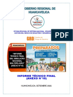 ANEXO N°010 - Informe Final