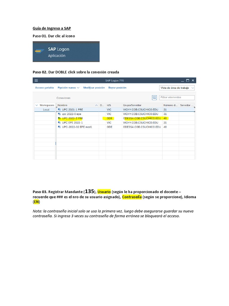 Guía 3 Ingreso A SAP | PDF 
