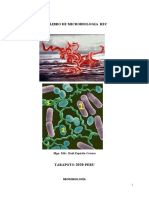 Teoria REC II - Del Libro Microbiologia