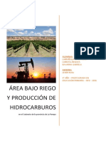 Area de Bajo Riego y Produccion de Hidrocarburos. Larraya Larrañaga Navarro
