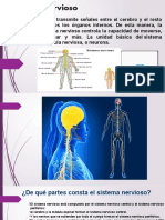 Sistema Nervioso