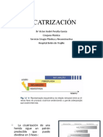 CICATRIZACIÓN