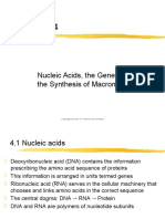 Chapter04 Nucleic Acids, The Genetic Code, and Macromolecule