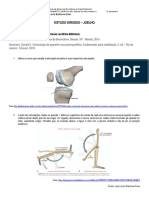 Cursos de Educação Física e Fisioterapia: Estudo do Joelho