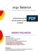 361359726-Energy-Balance-SK