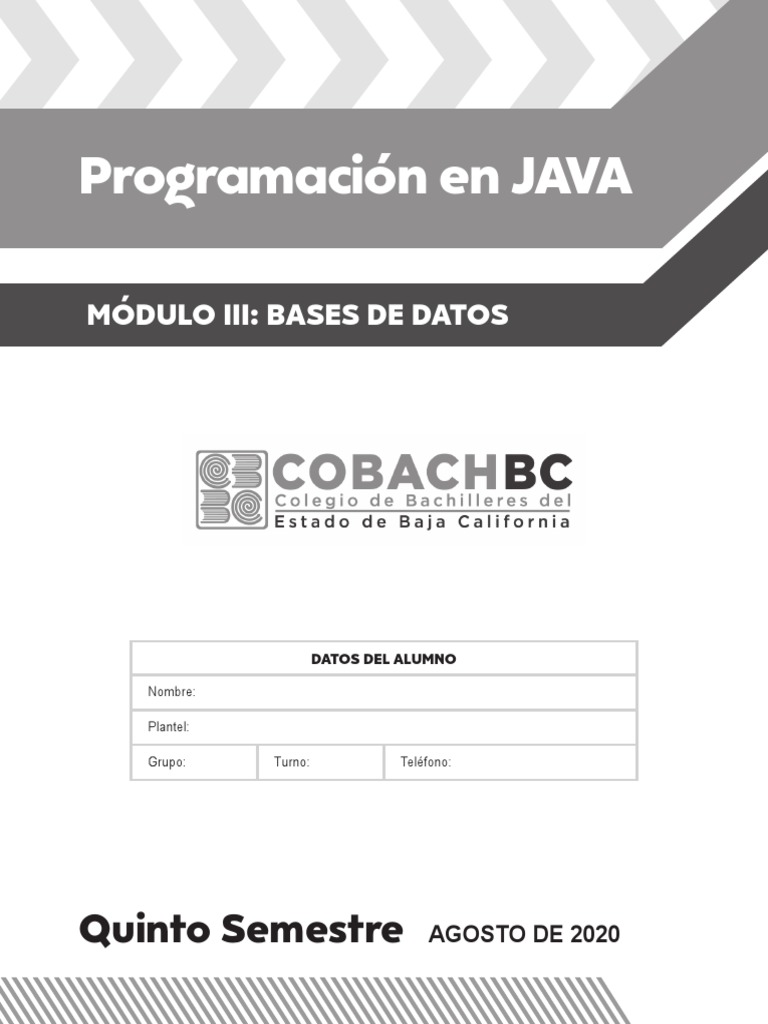 Programación en Java para Bachilleres | PDF | Bases de datos | SQL