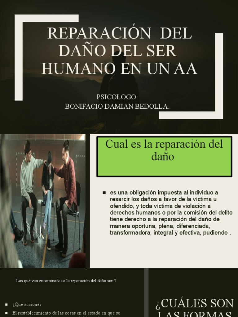 Reparación Integral del Daño a la Víctima | PDF | Victimologia | Justicia