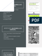 Modulo II, Factores y Su Empleo. II