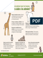 Infografia Cuidar Animales