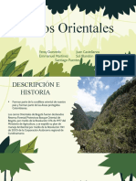 Cerros Orientales 11-01