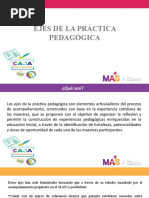 Ejes de La Practica Pedagógica 2017