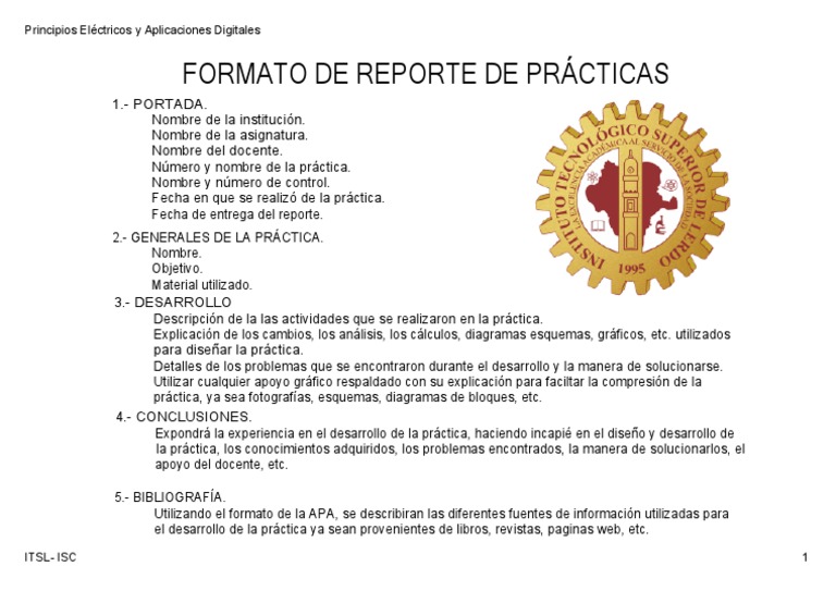 Formato de Reporte de Prácticas. | PDF | Crecimiento personal y ...