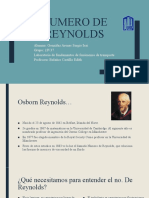 Numero de Reynolds