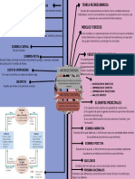 Mapa Conceptual