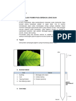 jawaban LK 3.1 ANALISIS PIGMEN PADA DAUN