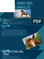 El Oido Del Caballo