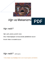 Ağrı, Mekanizmaları 2