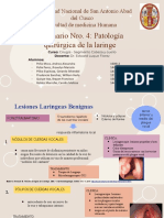 Seminario 4 - Patologia Quirurgica de La Laringe (Diapositivas)