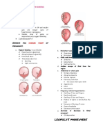 MCN Pregnancy