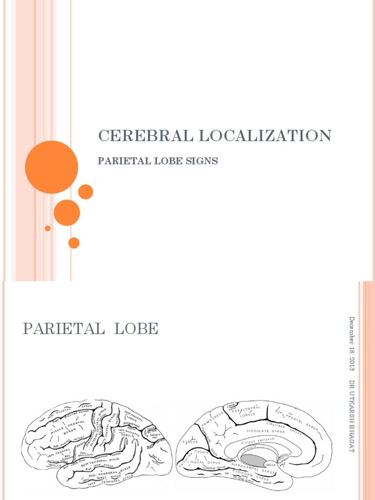 Parietal Lobe Lesion Signs Overview | PDF | Parietal Lobe | Neuroscience