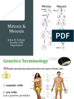 Mitosis and Meiosis