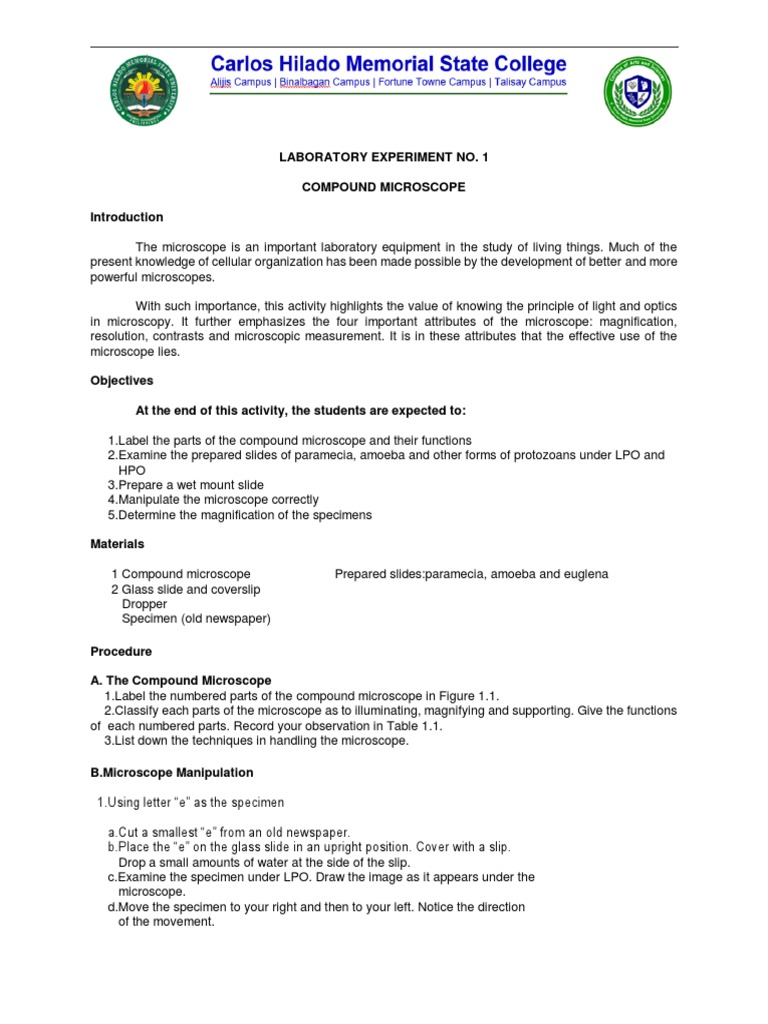 Lab Activity | PDF | Microscope | Microscopy