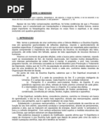 refletindo_sobre_obsessao