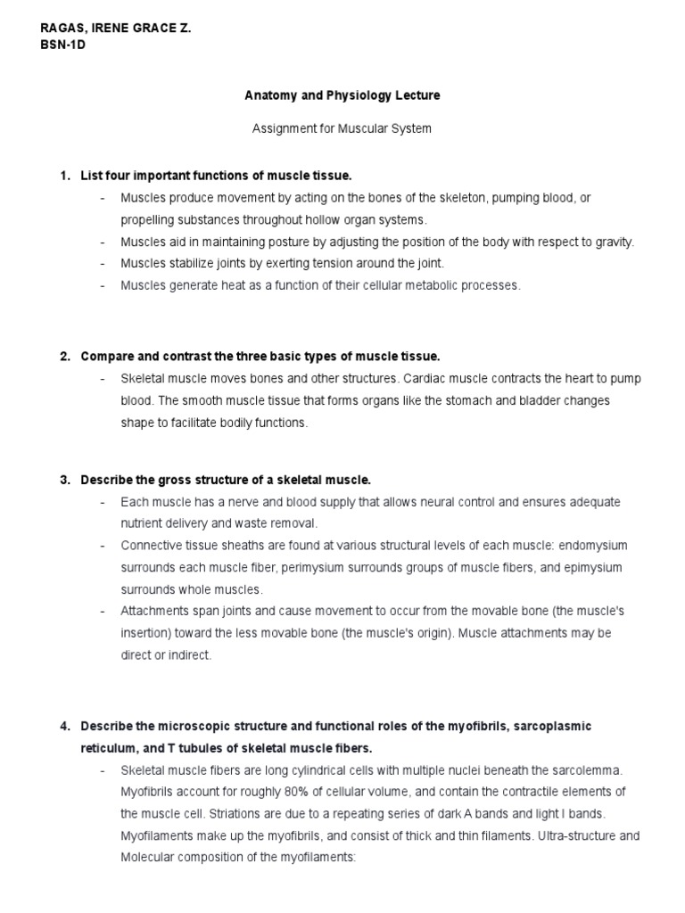 Assignment For Muscular System | PDF | Skeletal Muscle | Muscle Contraction