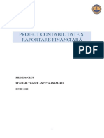 Proiect Contabilitate Financiara