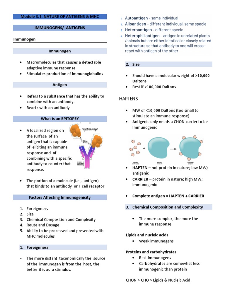 Module 3.1 NATURE OF ANTIGENS & MHC PDF Antigen Major