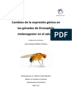 Cambios en la expresión génica de Drosophila melanogaster