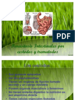 Parasitosis Ales Por Cestodos y Trematodos