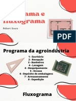 Programa e Fluxograma